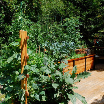 JD Garden, Hillsborough