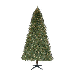 Home Accents Holiday 9ft Pre-Lit Fraser Pine Full Tree - Christmas Trees