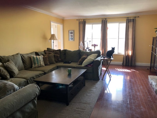 Need Rug To Coordinate With Curtains