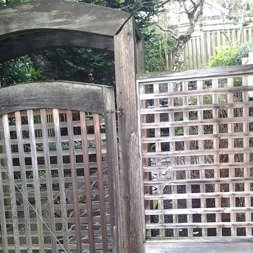 Garden Rebuild - Before