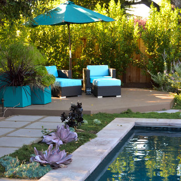 Geometry Overgrown: a Modern Pool & Landscape