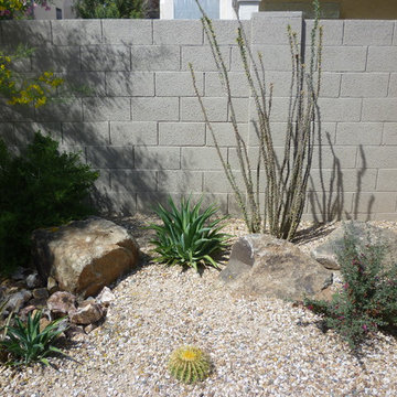 Plantings - 1.5 Years