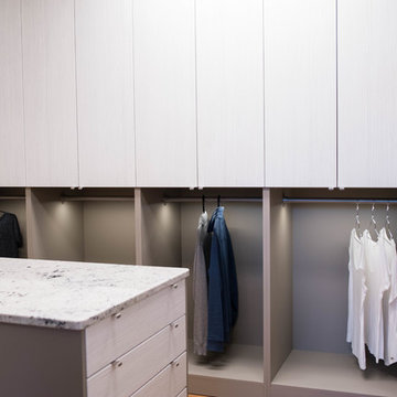 Sleek Contemporary Closet