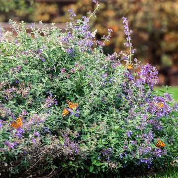 Fall Visits Skyland Drive