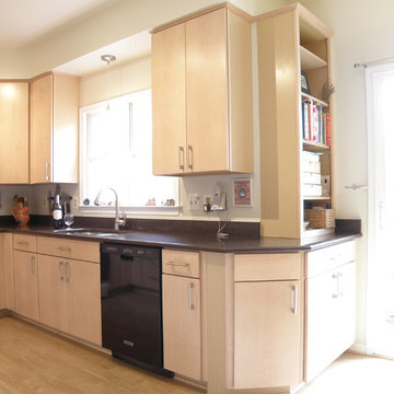 Alexandria Modern Kitchen