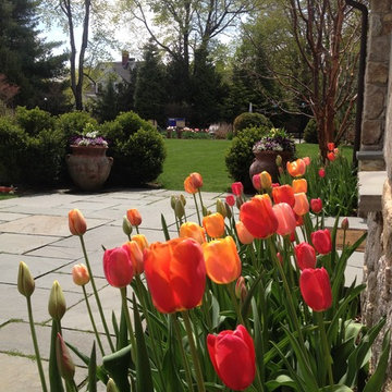 Spring Bulb Designs
