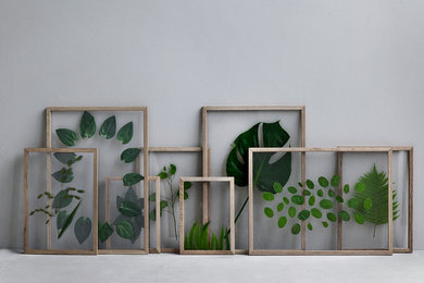 Frame with plants