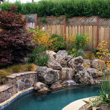 Healdsburg Backyard Pool