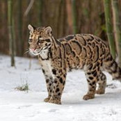 Scott Elliot's photo