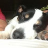 Tammy Canfield McNeil's photo