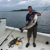 Bill Pierce's photo