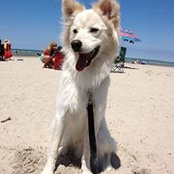 Melanie Kunstek's photo