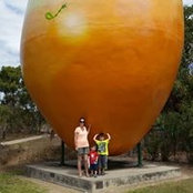 Deborah Wynd's photo