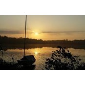 Shelly Whittaker's photo