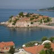 Jelena Lazarevic's photo