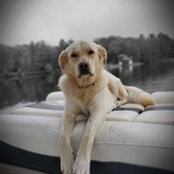 Deb Follett's photo