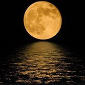 Jeri Tafoya's photo