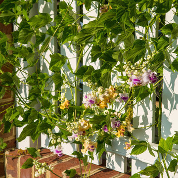 Old Town Alexandria: Recreating a Colonial Garden
