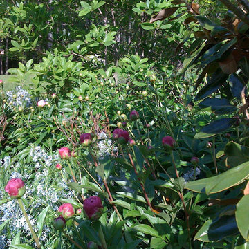 Green Springs: Growing a New Old Garden