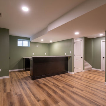 Rush Basement Remodel