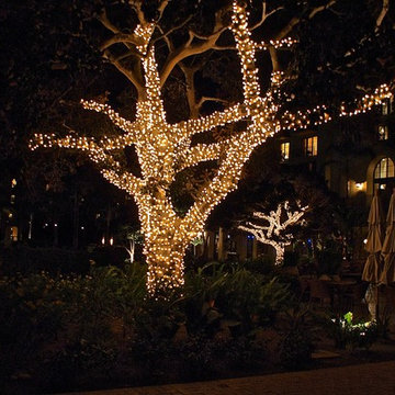 Holiday Lighting - 2014 Season