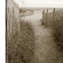 Sand Dunes