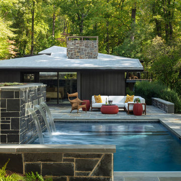 Richmond Mid-Century Modern Renovation