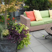 Outdoor Room