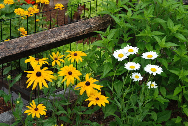 Traditional Landscape by Paintbox Garden
