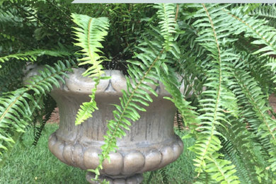 Inspiration for a mid-sized timeless courtyard patio container garden remodel with no cover