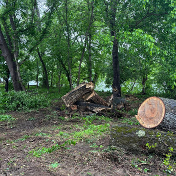 Complete Outdoor Property Improvement and Tree Service