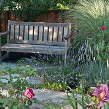 Gardening Around Bench