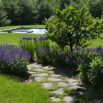 Salvia, Iris, Dwarf Crab Apple