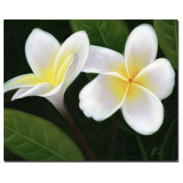'Hawaiian Lei Flowers' Canvas Art by Master's Fine Art