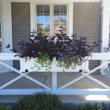 Seasonal Display