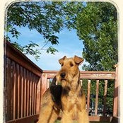 Patty Kelley's photo