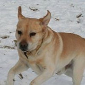 Lorraine Allan's photo