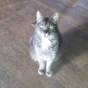 Catherine Flynn's photo