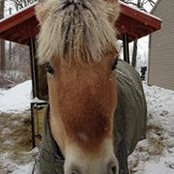 Tina Latch's photo