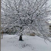 Florence Duhayon's photo