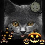 Sherry Kirk's photo