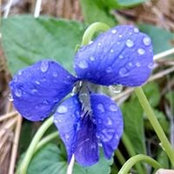 Laura West's photo