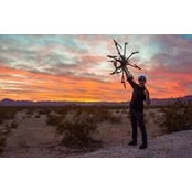 Will Good's photo