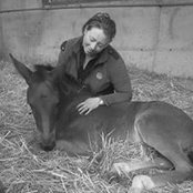 Julia Blass's photo