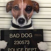 Arthur Greene's photo