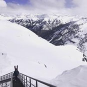 Elle Mattson's photo