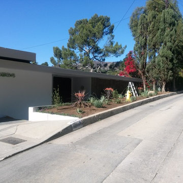 Front Landscape Before & After