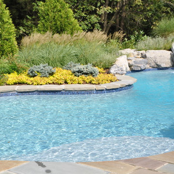 Free-form In Ground Pool