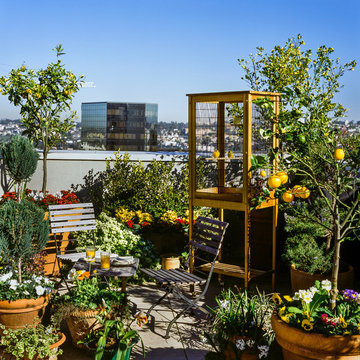 Little Italy Penthouse 2