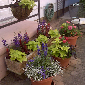 Container Gardens